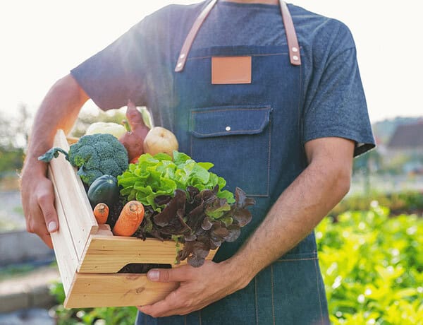 Regionales Bio-Gemüse im April: Mann hält Biokiste.
