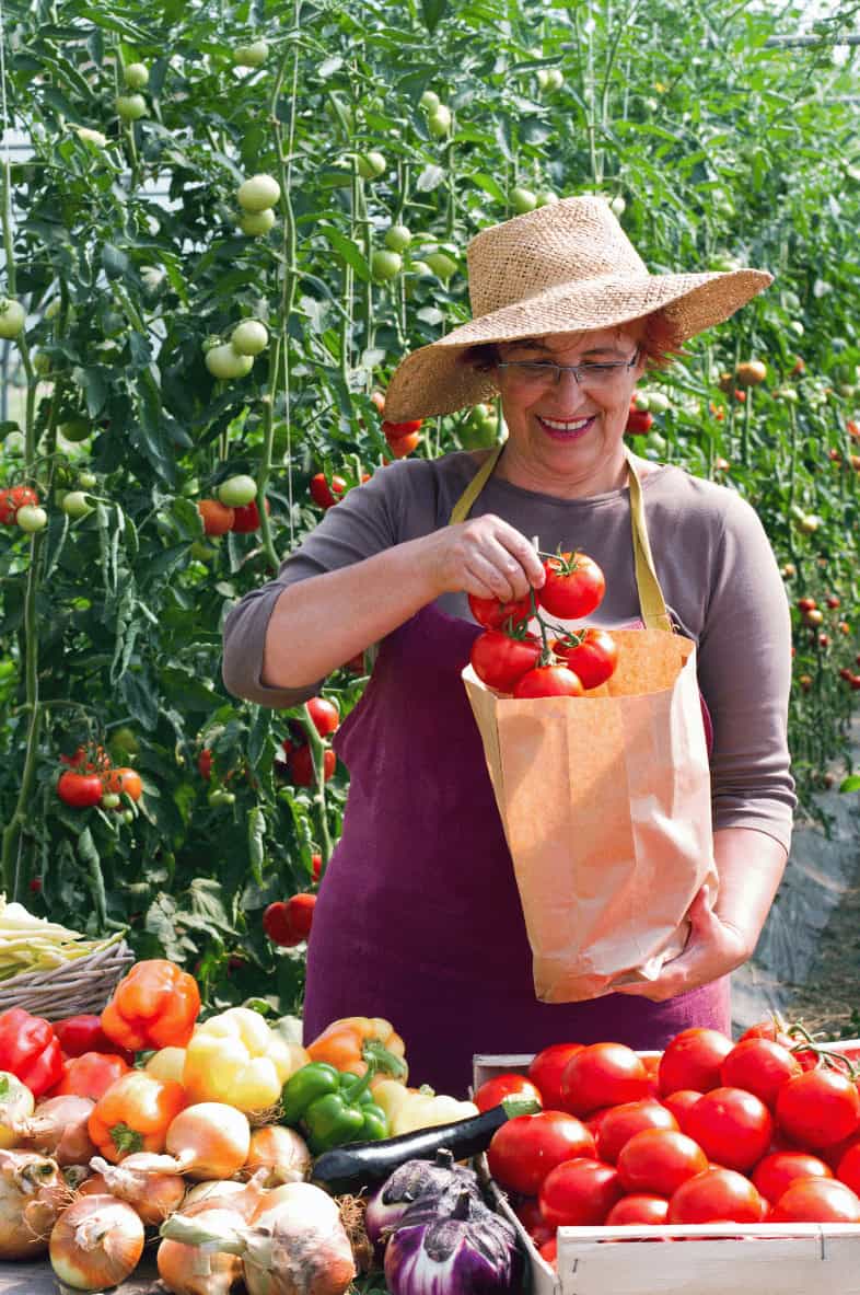 Eine Frau die Tomaten eintütet: zum Thema "Was heißt regional einkaufen."