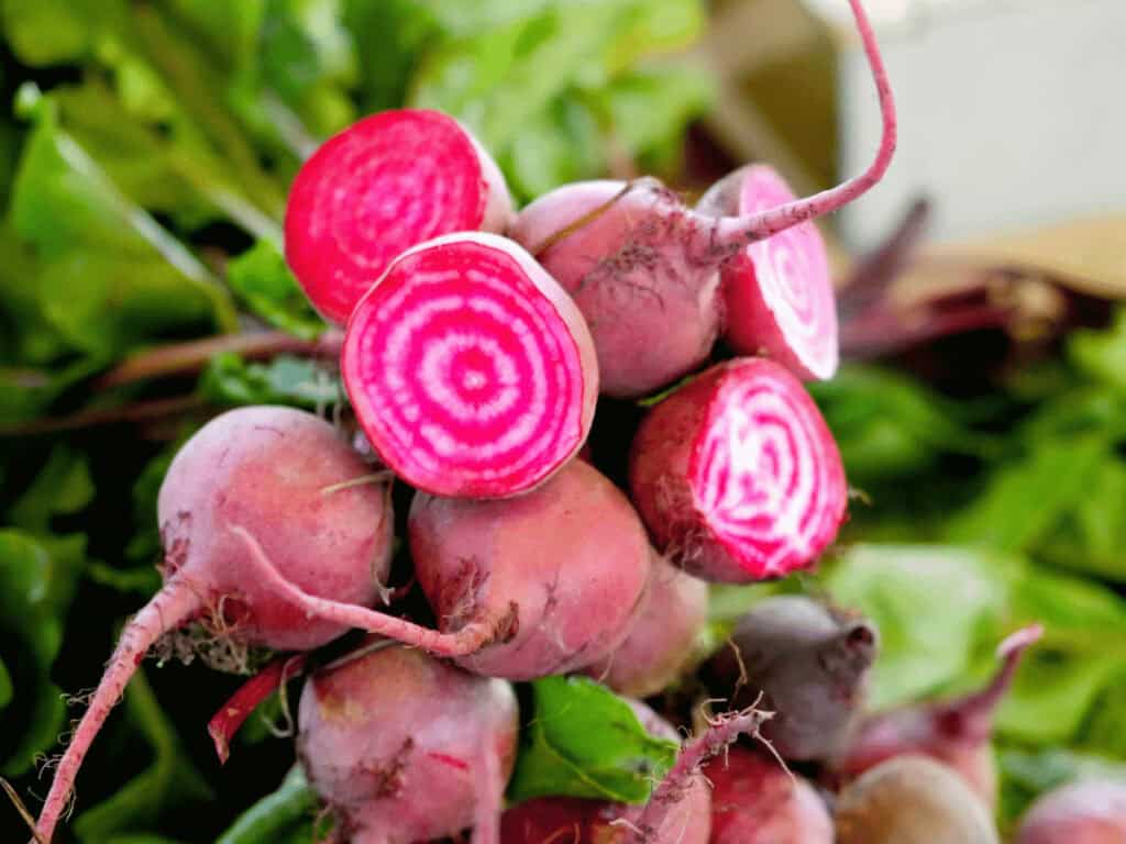Unterschiedliche Arten rote Bete, die für histaminarme Rote-Bete-Aufstriche verwendet werden.