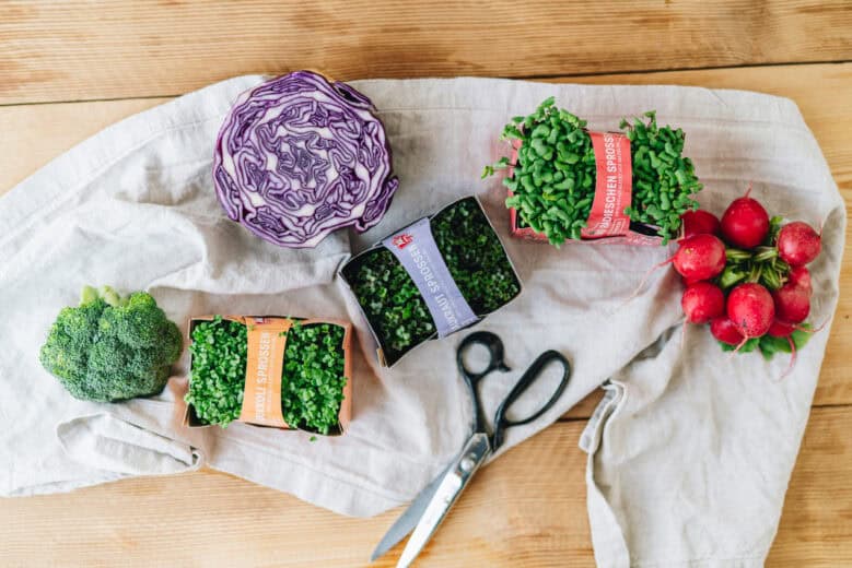 Bio-Microgreens aus dem Handel als Basis für ein histaminarmes Microgreens-Omelette.