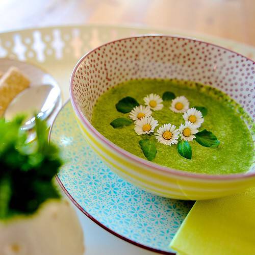Brennesselsuppe Der Flussige Starkmacher Aus Natur 