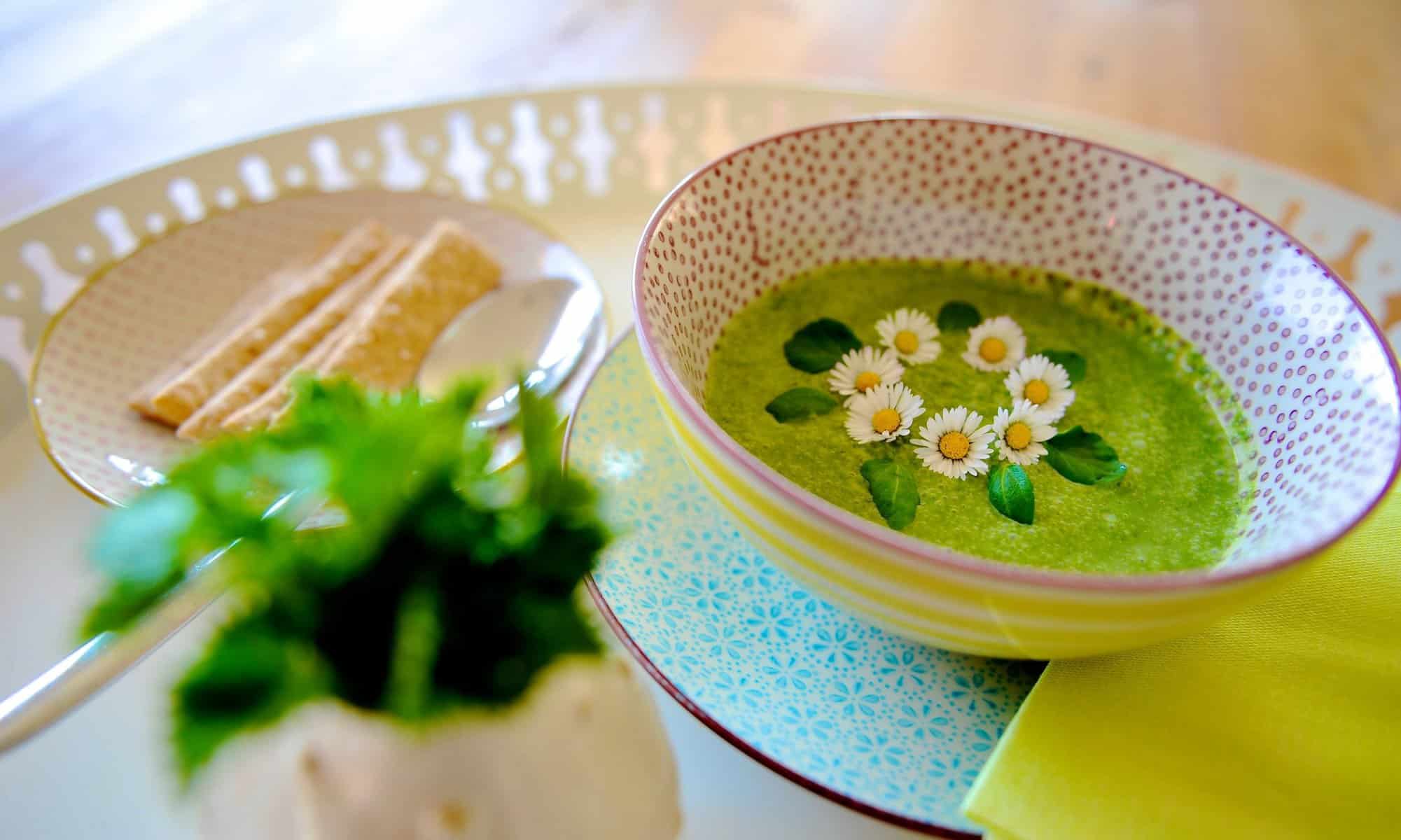 Brennesselsuppe Der Flussige Starkmacher Aus Natur 