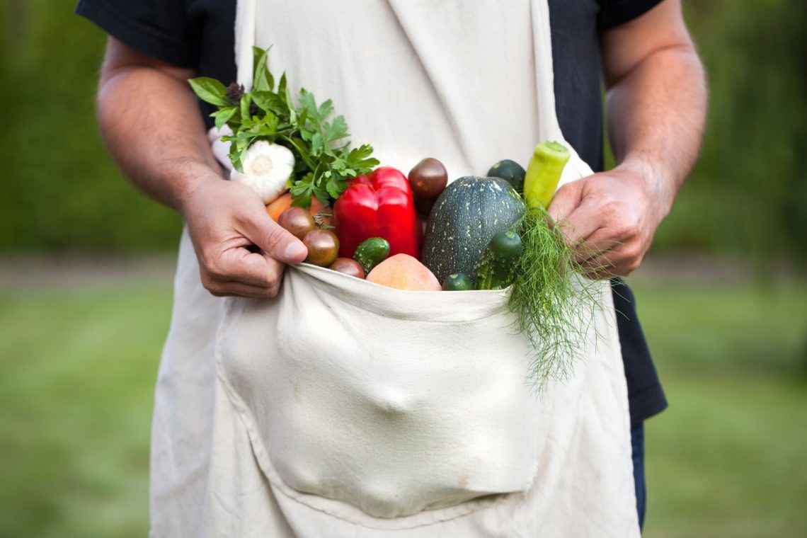 Ein Man hält in seiner Schürze Gemüse, das Lektine enthält. Passend zum Thema lektinfreie Ernährung.