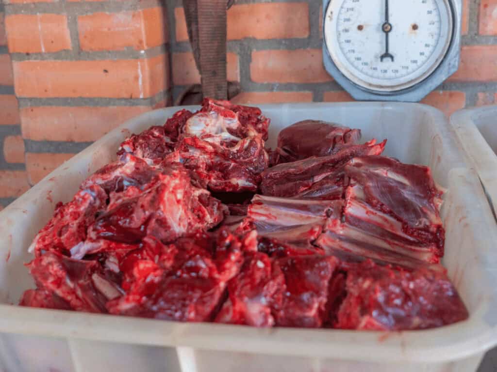 Frisches Rehfleisch in einer weißen Kiste. Zum Thema: Wie gesund ist Wildfleisch?