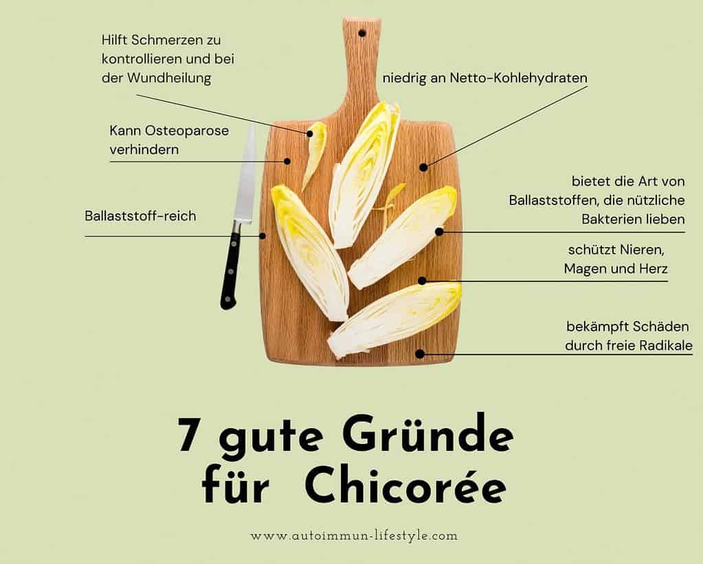 Eine Graphik, die 7 Gründe darstellt, warum man Chicorée essen sollte. Nicht enthalten: Chicorée stabilisiert die Mastzellen.