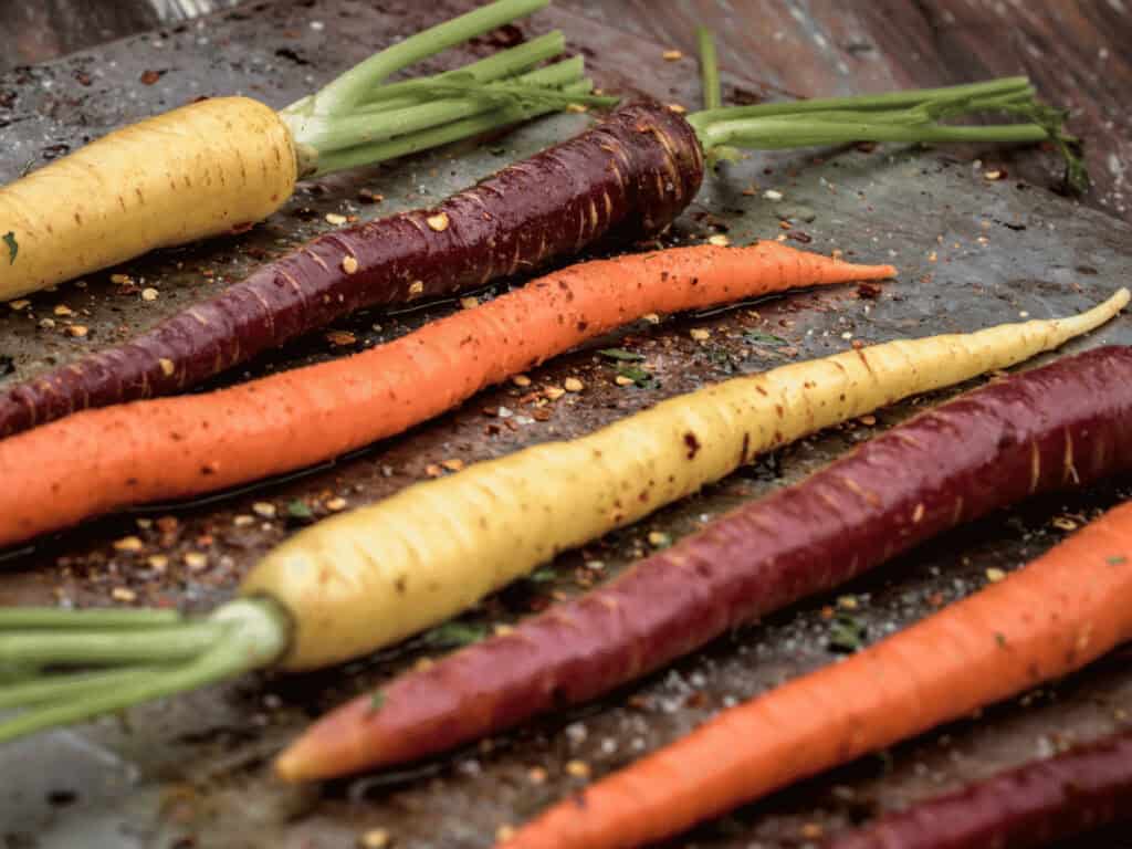 Bunte geröstete Karotten auf einem Backblech für das Rezept der Röstkarotten auf Sellerie-Püree.