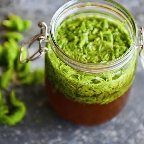 Glutenfreies Hirsebrot mit Hefe: Mein Gamechanger Glutenfreies Hirsebrot mit Hefe: Mein Gamechanger